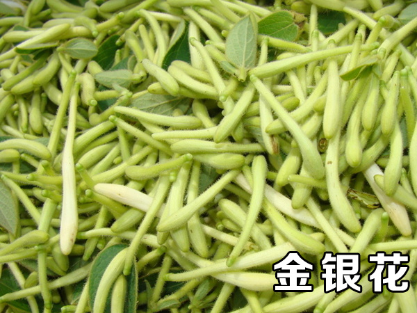 金銀花烘干機(jī)