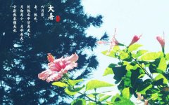 <b>夏送清涼：市工會領(lǐng)導(dǎo)蒞臨南洋環(huán)保慰問職工</b>