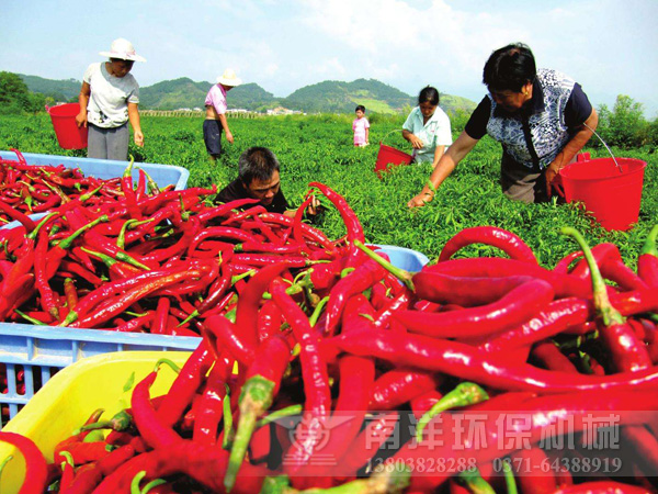 行業(yè)新聞